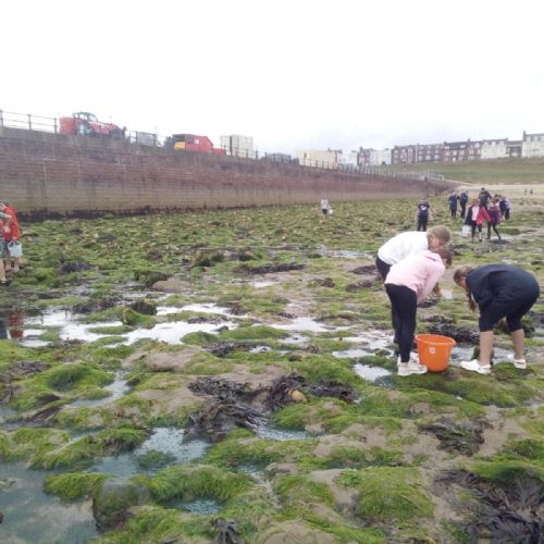 Exploring our environment